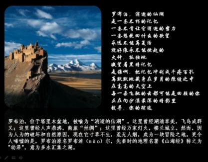 中国健康服务管理平台app